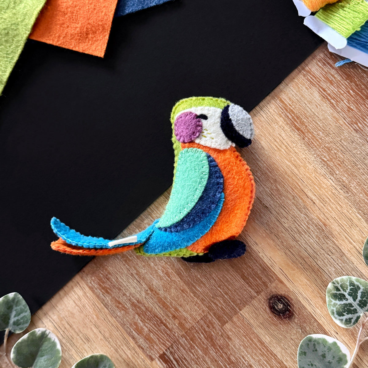 Macaw Pocket Pal