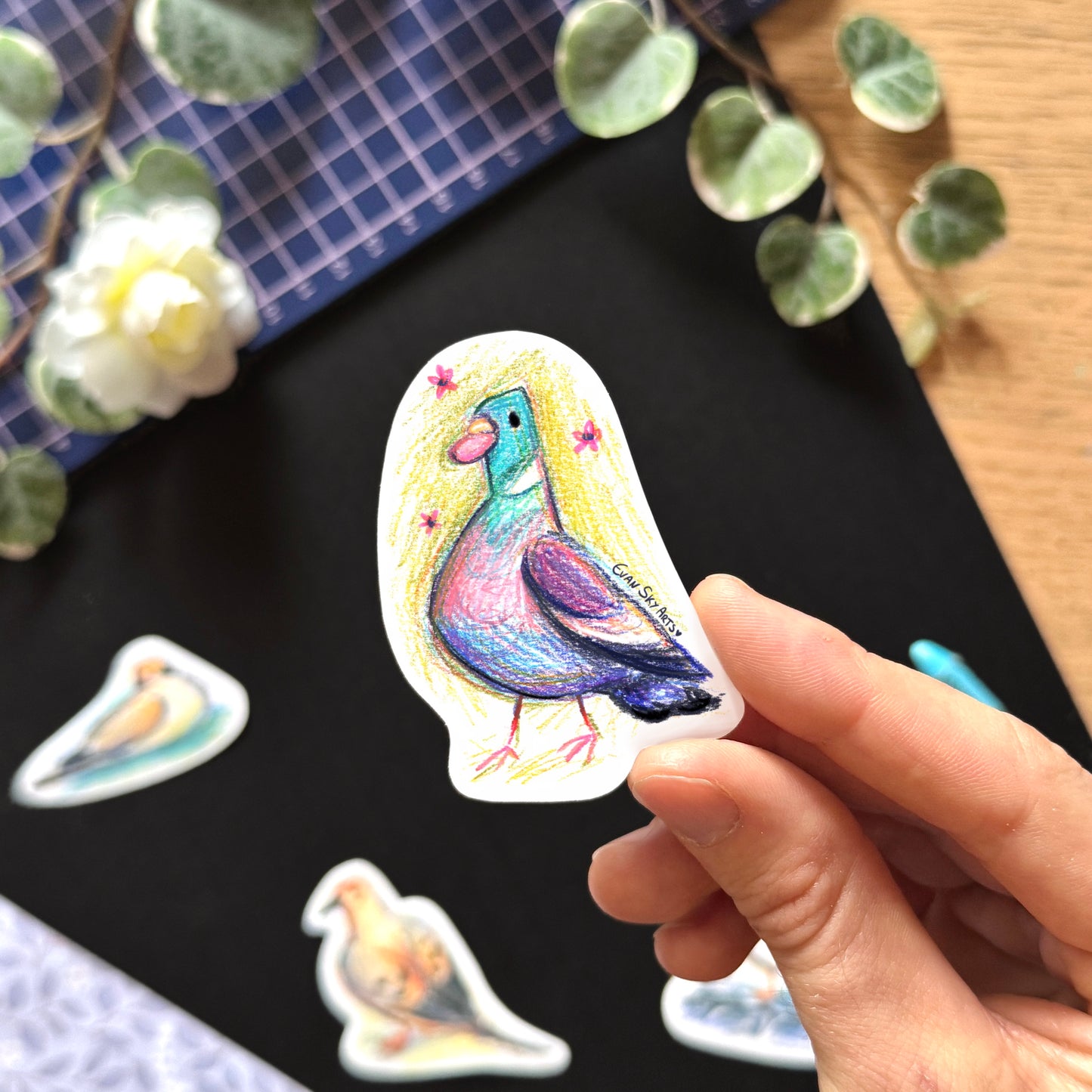 Pigeon Species Stickers
