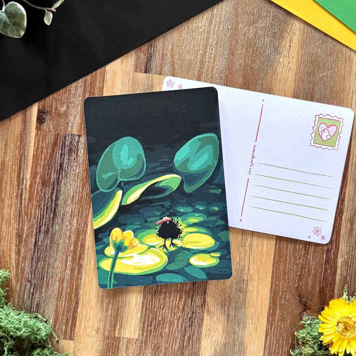 « Baby Moorhen » Postcard