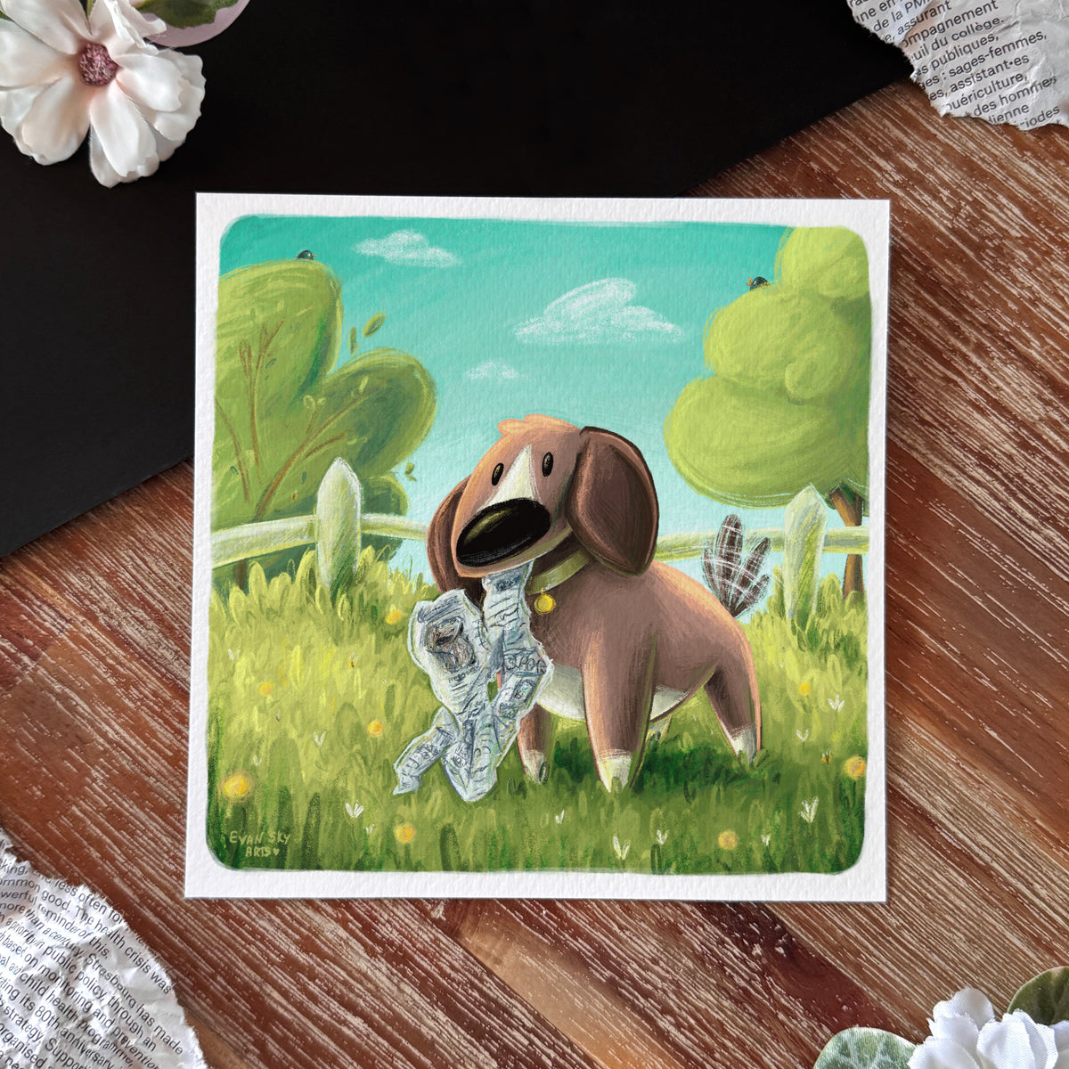 « Newsboy » Print