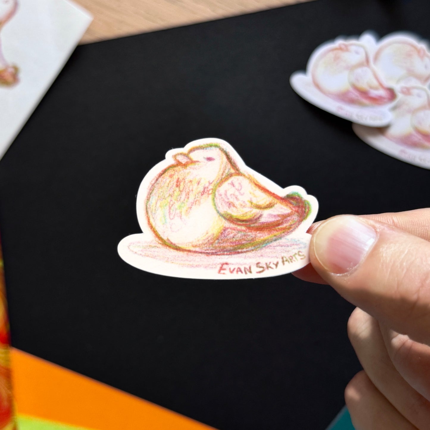 Stickers: Pigeons Arc-en-ciel