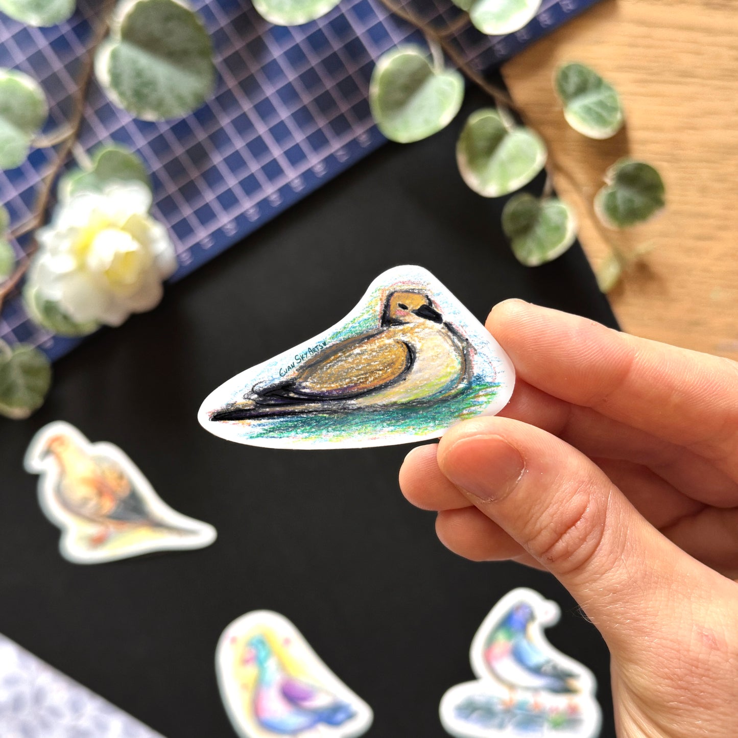 Pigeon Species Stickers