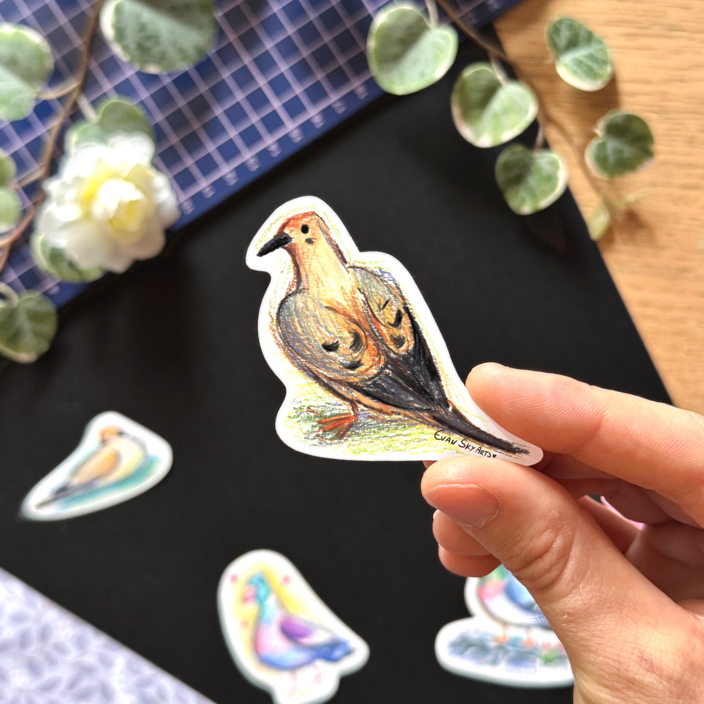 Pigeon Species Stickers