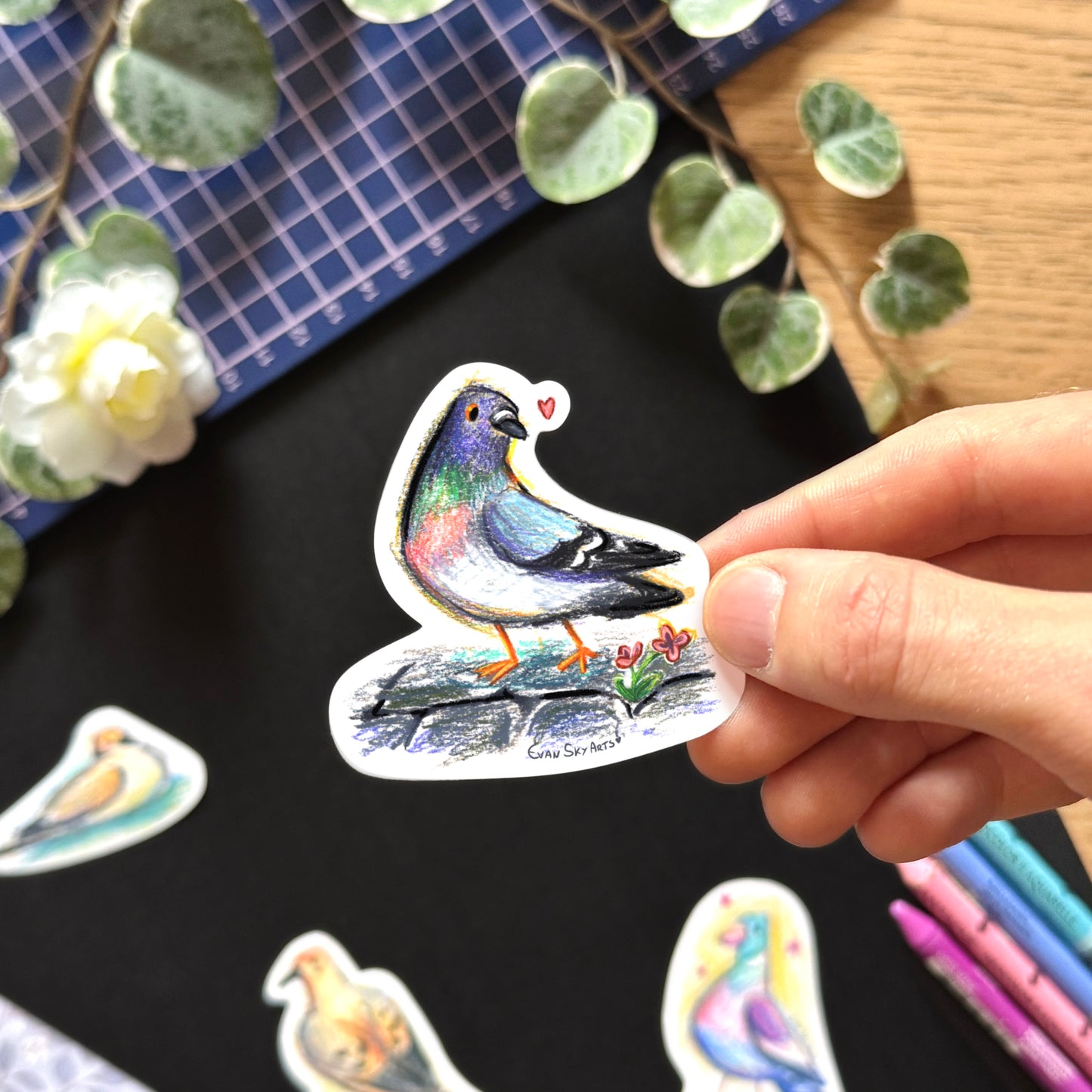 Pigeon Species Stickers