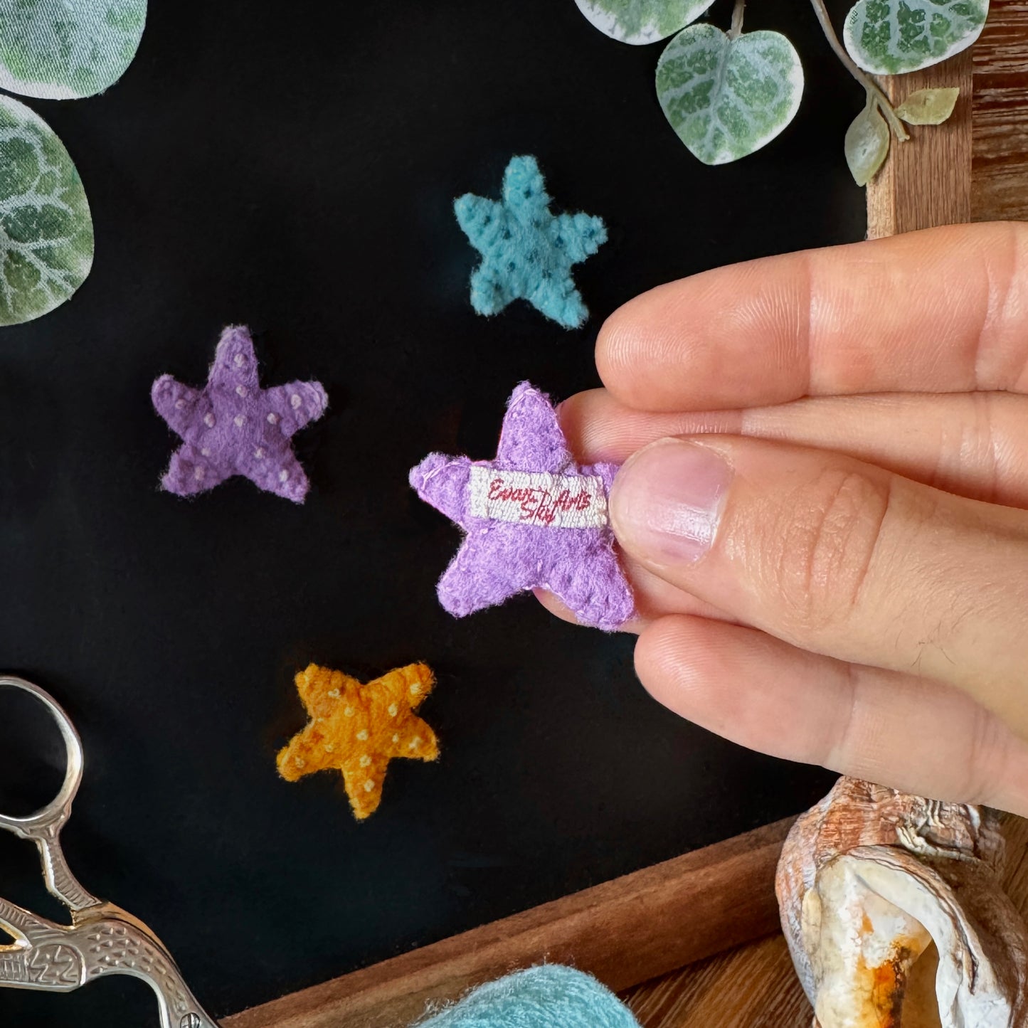 Sea Stars Magnets