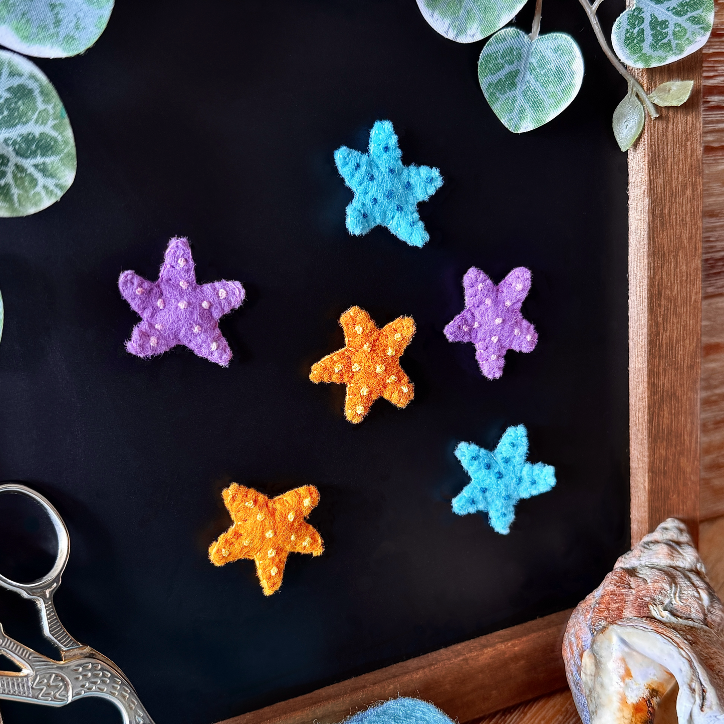 Sea Stars Magnets