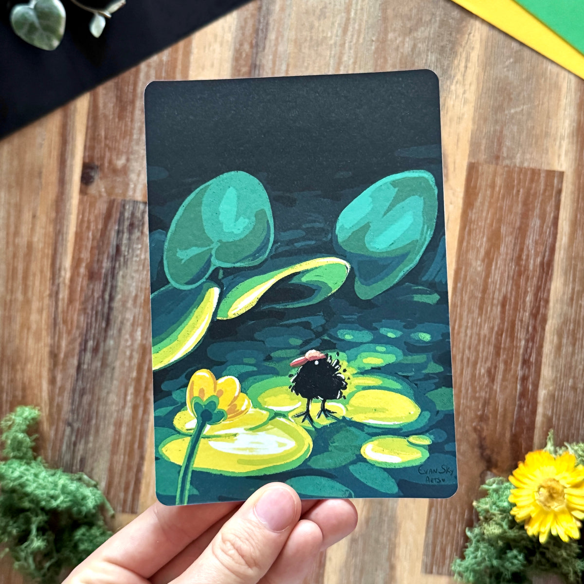 « Baby Moorhen » Postcard