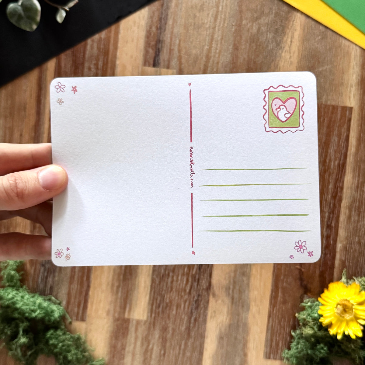 « Baby Moorhen » Postcard