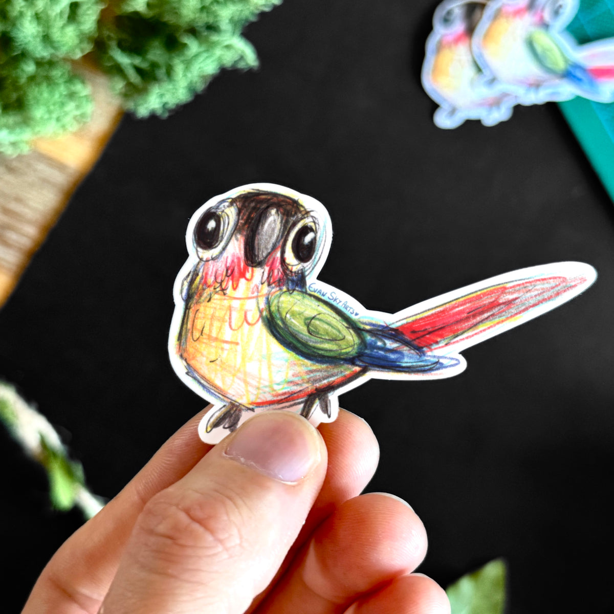 Sticker: Sketchy Conure