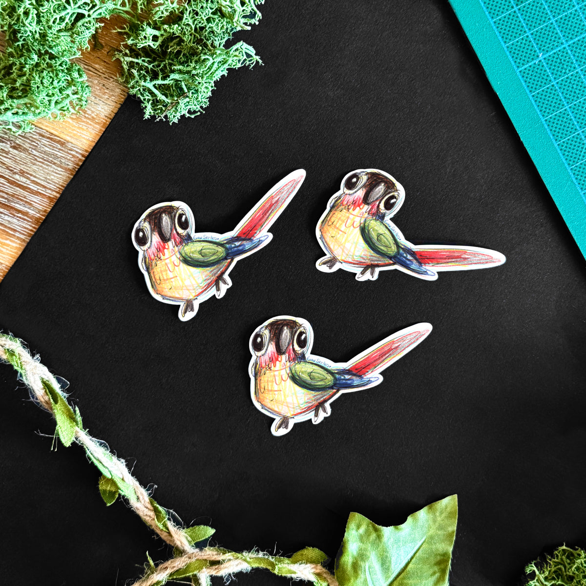 Sticker: Sketchy Conure
