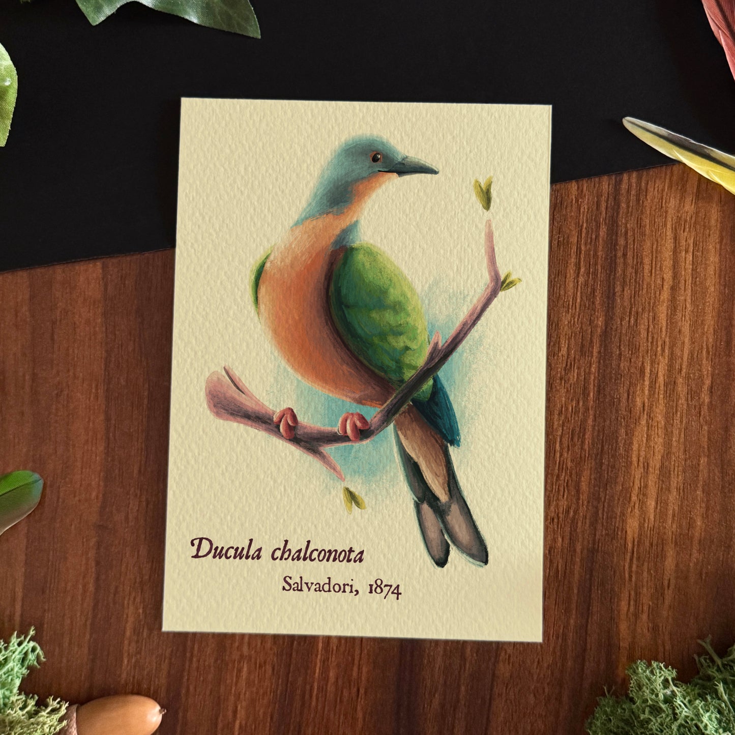 Impressions « Oiseaux du monde » Set #1