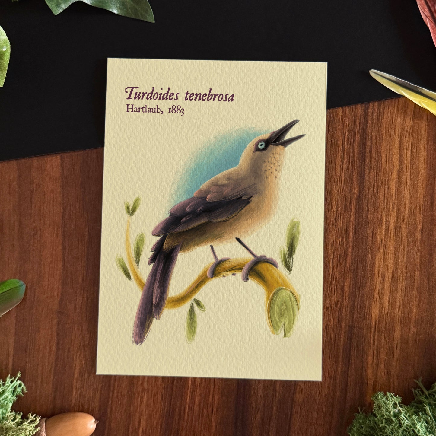 Impressions « Oiseaux du monde » Set #2