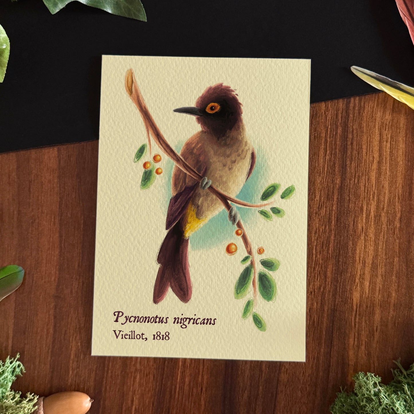 Impressions « Oiseaux du monde » Set #2