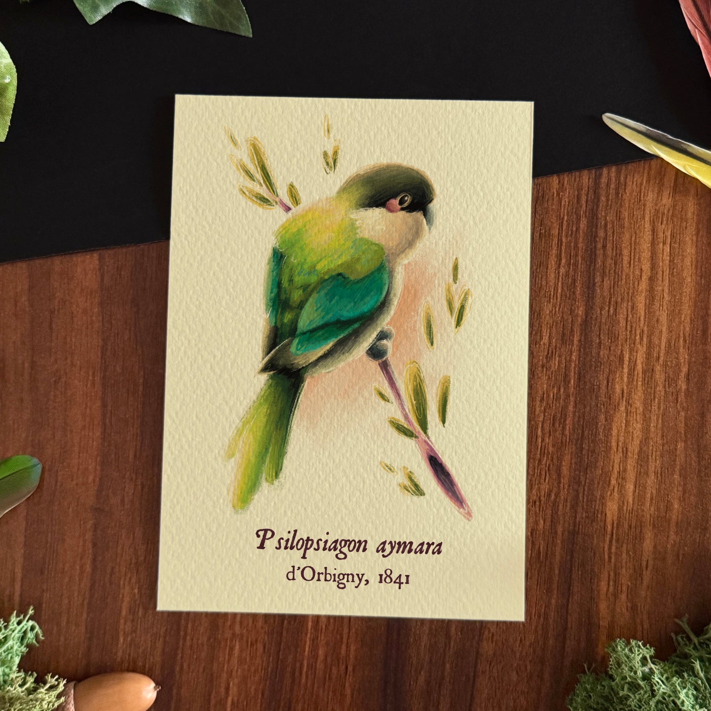 Impressions « Oiseaux du monde » Set #1