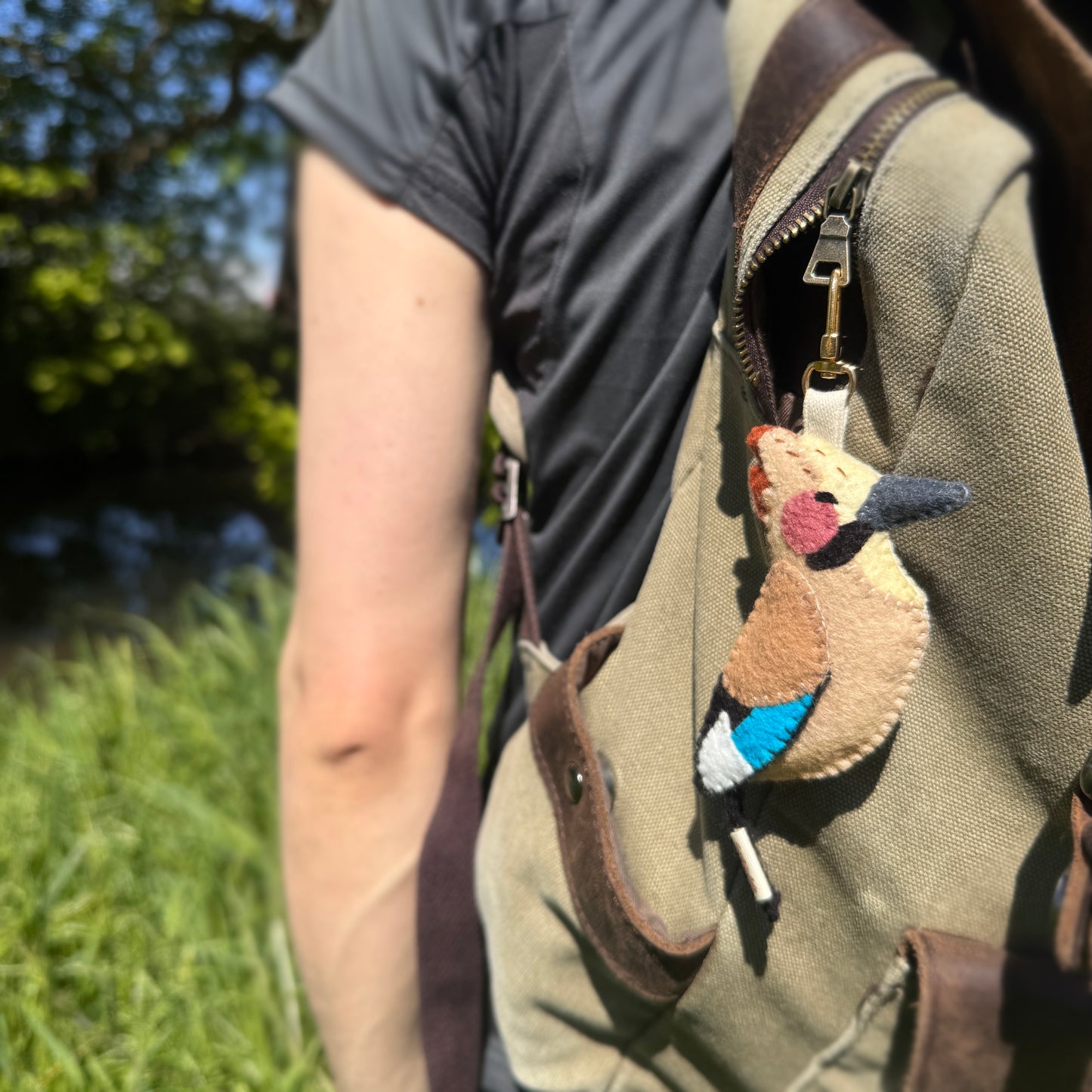 Bijou de sac: Geai des Chênes