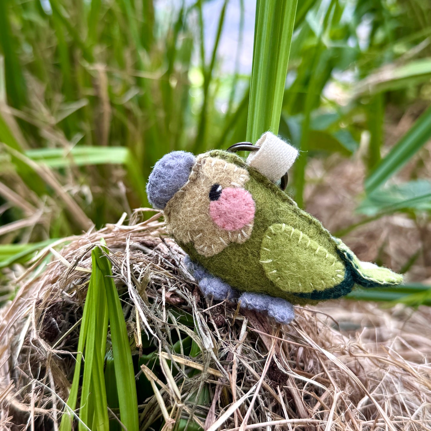 Porte Clé Kākāpō