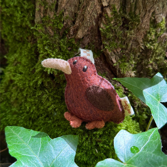 Kiwi Keychain 