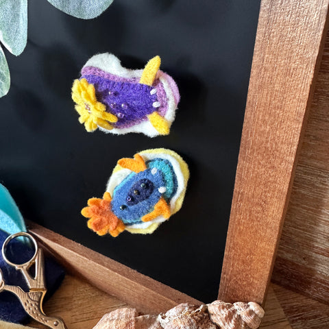 Sea Slug Magnets